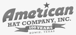 Americanhat - Air Force #8506399