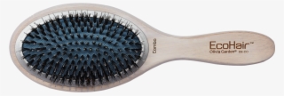 Olivia Garden Ecohair Oval Combo Vent Round Eco-friendly - Olivia Garden Eco Hair Paddle Styler #8507384