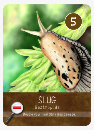 Slug Png #8510269