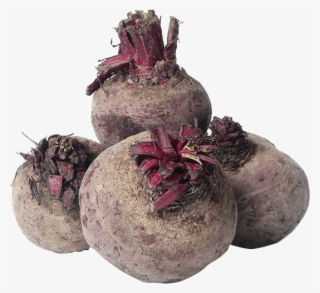 Beet Greens #8510795