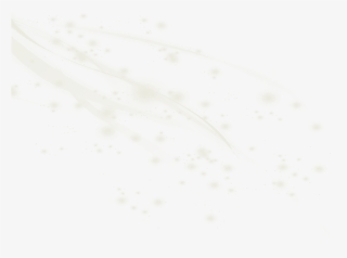 High Light Sara Y Chris - Fondo De Bodas Blanco #8510883