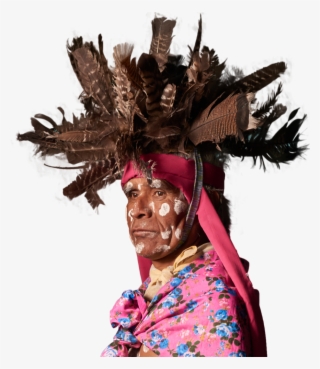 Resplandor Iguana - Carnival #8511550