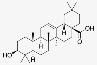 Oleanolic Acid - Maslinic Acid #8512553