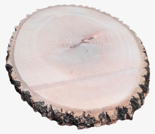 Rodajas De Madera - Rodajas De Madera Png #8513318