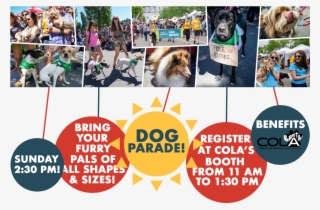 Dog-parade - Punxsutawney Phil #8516557