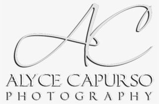 Alycecapurso - Com - Au - Calligraphy #8517999