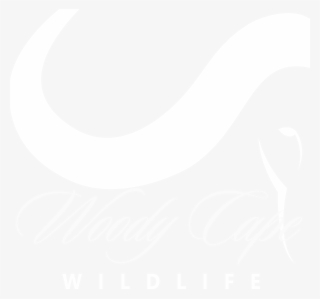 Woody Cape Wildlife - Calligraphy #8519293