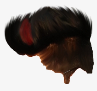 Hair Png ➤ Download - Fur #8524503