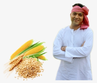 Whole Grain #8524725