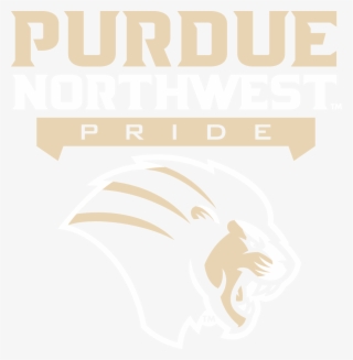 Download Png Format Informal University Mark - Poster #8525682