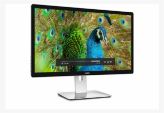 Computer Monitor #8525853