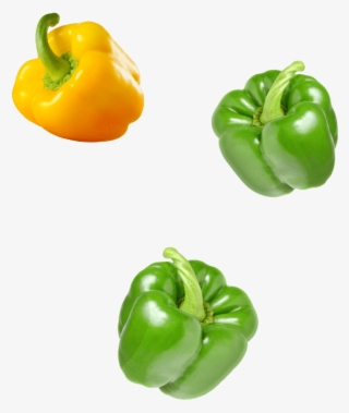 Green Bell Pepper #8526534