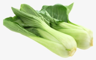 Bok Choy Clipart Vegtable - Bok Choy Png #8526750