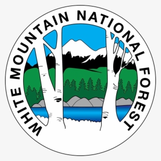 Hear The Forest &ndash Sound Snapshots Of White Mountains - Ely Pamatong #8526949