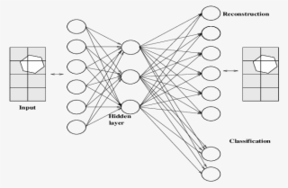 A Single Hidden Layer Drives Both The Classification - Circle #8527363