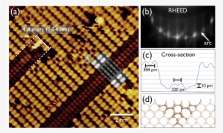 Haiku Stripes - Eastern Coral Snake #8528115