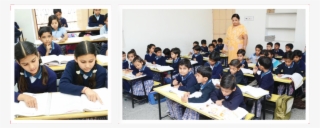 Language Development - Classroom #8529071