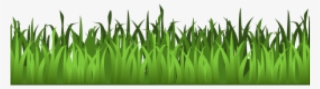 Grass Clipart Transparent Background - Clipart Transparent Grass #8529195