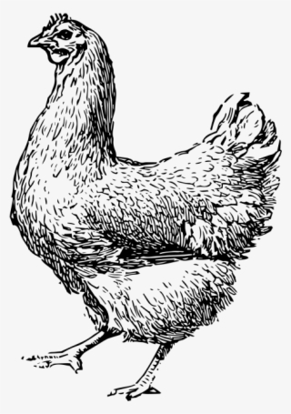 Chicken - Bobbique #8529250