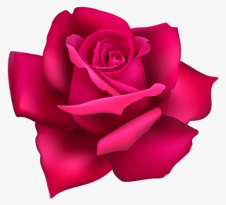 Free Png Rose Flower Pink Png Images Transparent - Portable Network Graphics #8529540