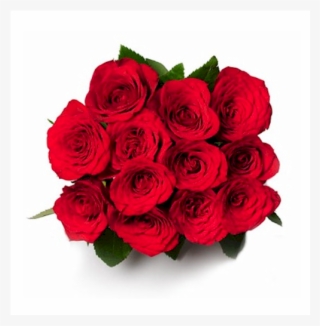 Little Treasure - 12 Roses - Good Morning Gift Flower #8529802