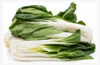 Curly Cabbage Hydro - Tatsoi #8530260