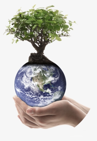 Since 01 - 01 - - Earth #8530363