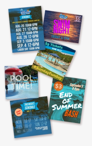 Wetlands Designs - Flyer #8530397