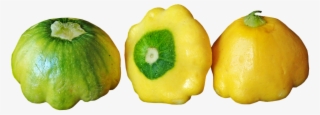 Vegetable, Button Squash, Cooking, Garden, Nature - Pattypan Squash #8530399