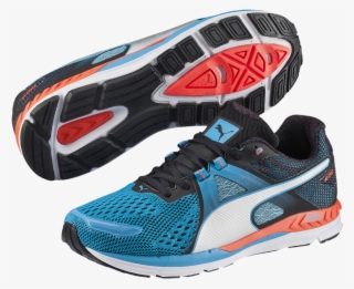 Conclusion - Adidas Puma Speed 600 #8530574