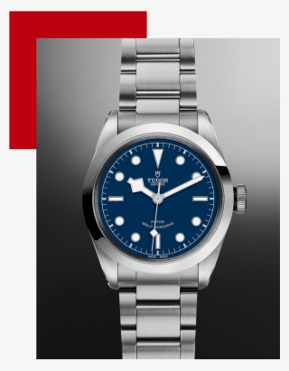 Lady Gaga Wears The Black Bay - Tudor Black Bay 41 Blue Dial #8531302