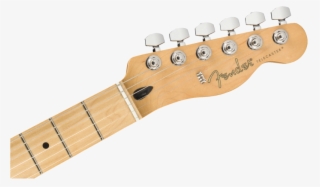 You - American Performer Telecaster Hum #8531899