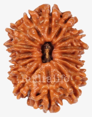 Click To Zoom - Chocolate Cake #8533999