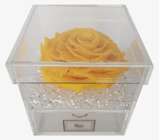 Single Rose Keepsake Box #8534713