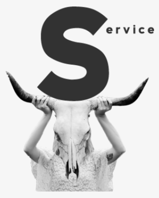 Service - Bull #8535598