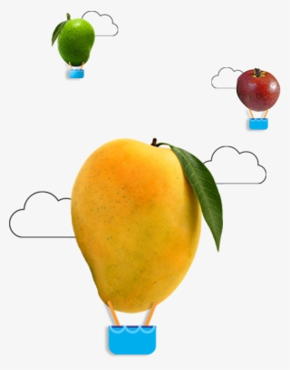 Read More - - Bitter Orange #8535814