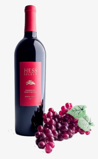 Red Wine - Wine Bottle #8536196