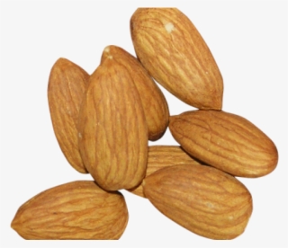 Almond Clipart Dry Fruit - Almond Pics Download #8536367