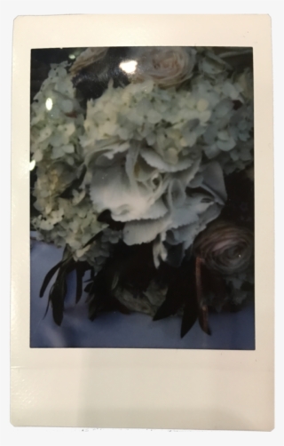 The One To Catch Šolta, Croatia - Bouquet #8536850