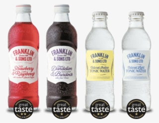 Soft Drinks, Tonics & Mixers - Plastic Bottle #8542402