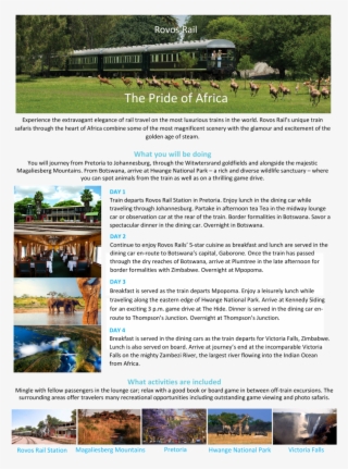 Rovos Rail The Pride Of Africa Experience The Extravagant - Railroad Car #8543383