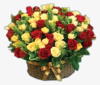 Gof 8001 - Garden Roses #8543386