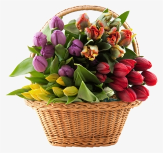 Free Png Download Transparent Basket With Tulips Png - Basket Of Flowers Free #8543967