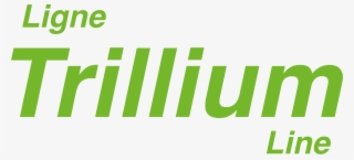 Green Check Mark Trillium Line - Graphic Design #8544981