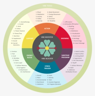Amv Chart - Circle #8545232