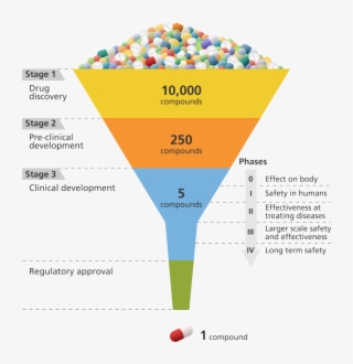 Illustration Showing The Different Stages Involved - Clinical Development Of Drug #8545863