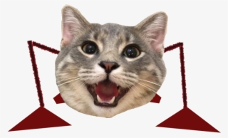 Scuttlebug From Mario 64 But It's Catt - Cat Yawns #8546110
