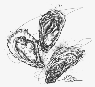 In Addition To Its Grace And Originality, It Stays - Sketch #8546736