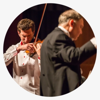 Semi-professional Orchestras - Orchestra #8547432