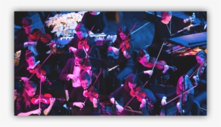 The Most Desired Sound Quality When Miking String Instruments - Illustration #8554147